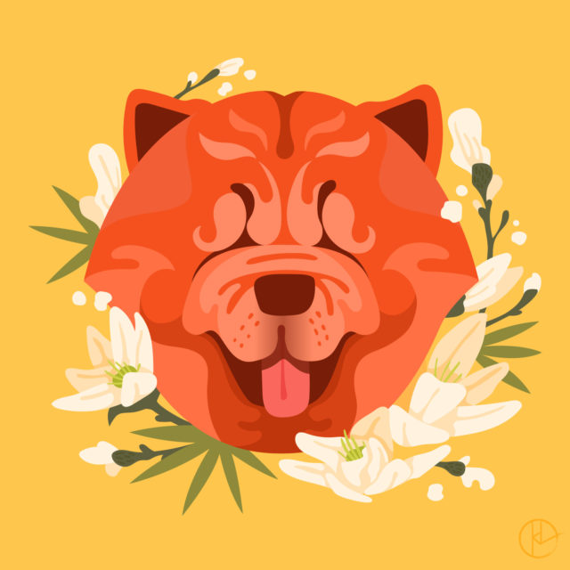 Chow Chow illustration for Year of the Dog show